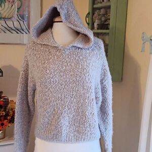 Lira Nubby Cropped Hooded Sweater